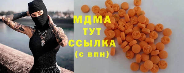 индика Богородицк