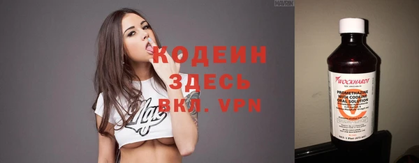 скорость Бородино