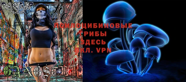 скорость Бородино
