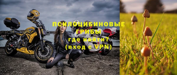 скорость Бородино
