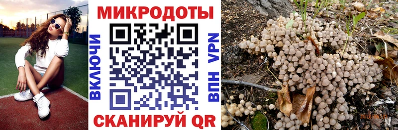 Галлюциногенные грибы Psilocybe  площадка телеграм  Чёрмоз 